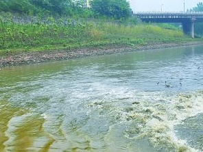 安国污水清运多少钱